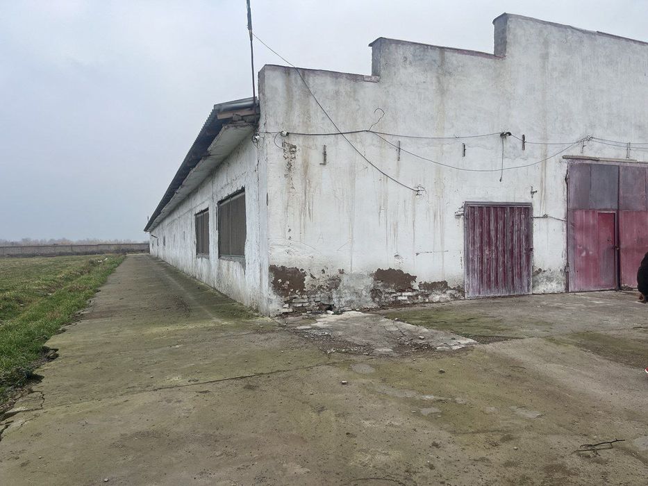Продаётся откормочная база-ферма