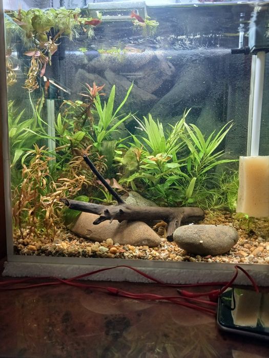Продается аквариум