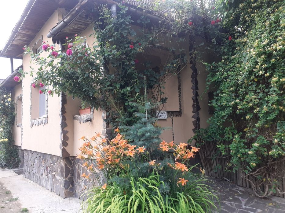 Vind   ,    Proprietar Ocolis Maramures str Culturii nr 110 vind casa cu anexe