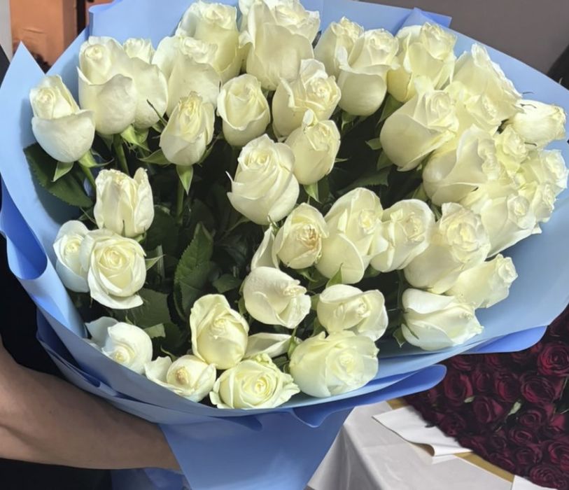 Метровые розы, свежие