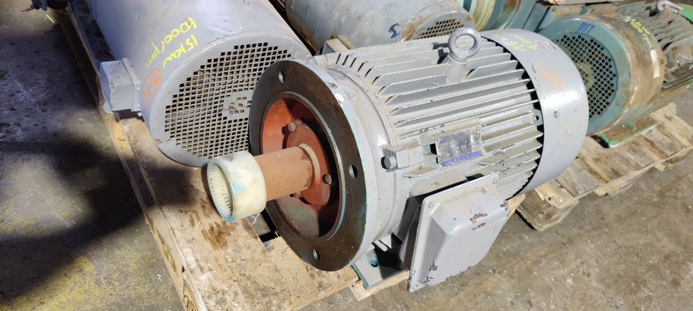 Motor electric trifazat cu talpa și flansa, 15kW, 1000rpm, 380V