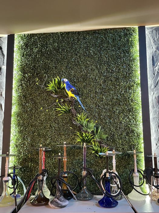 Декор стен зеленью Интерьерное озеленение