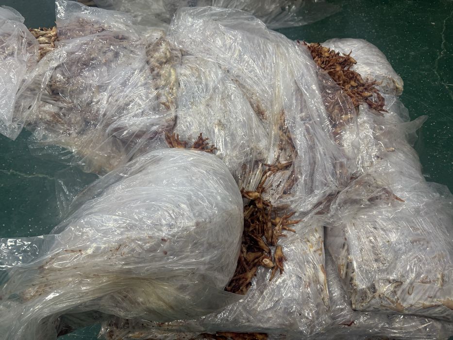 Корм для собак латки атхот