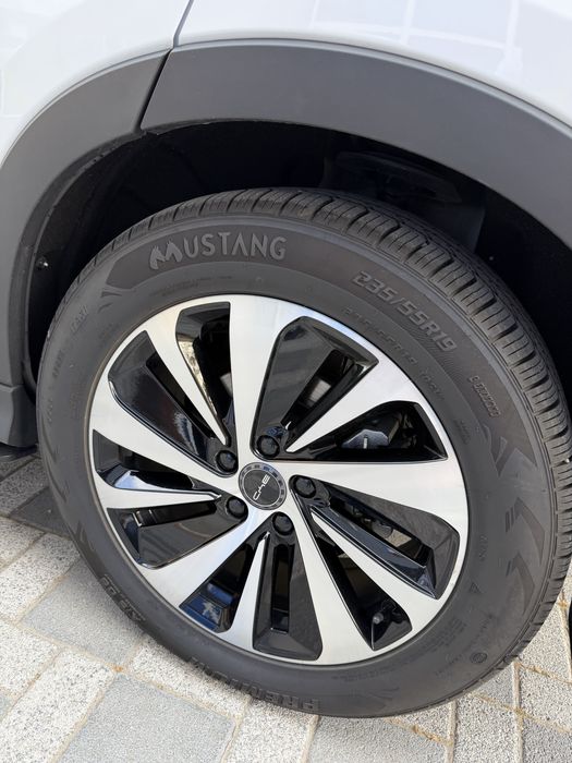 буд чемпион 2023 йил 605ли