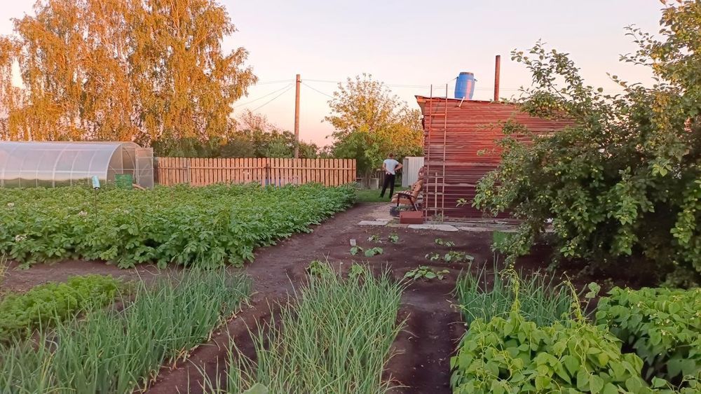 Продам дачу в Ромашке