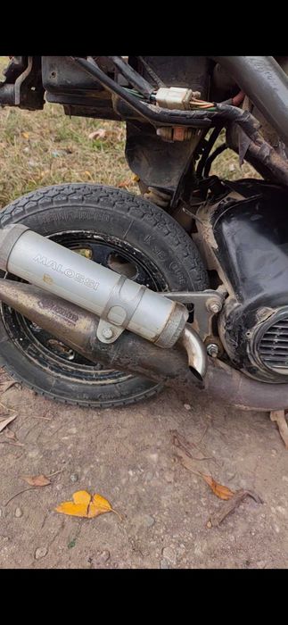 Спортен ауспух malossi за минарели вертикал може и бартер за iPhone