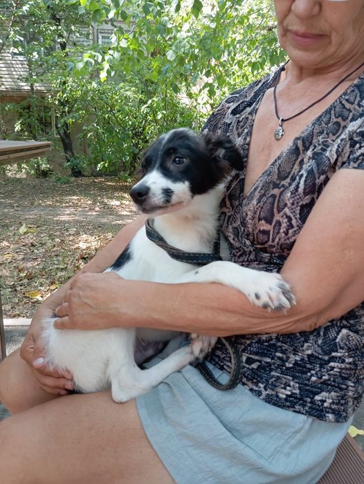 Мальчик Звоночек