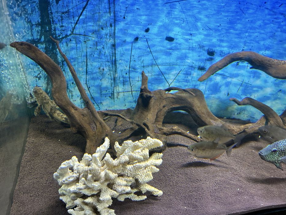 Продам аквариум!