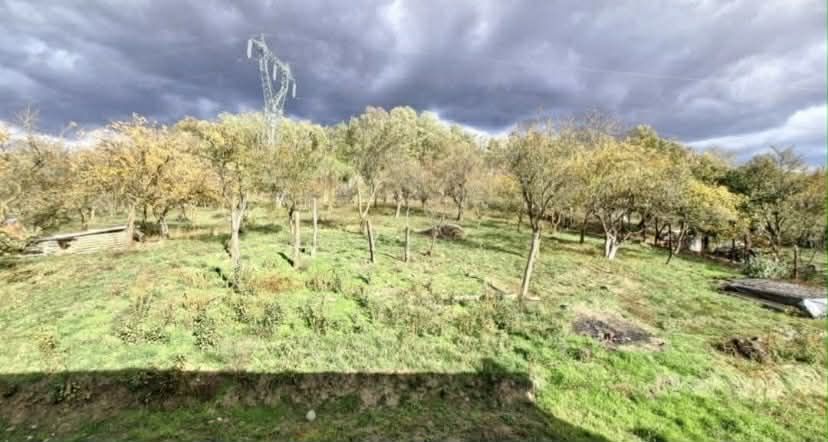 Casa mediteraneana 2025