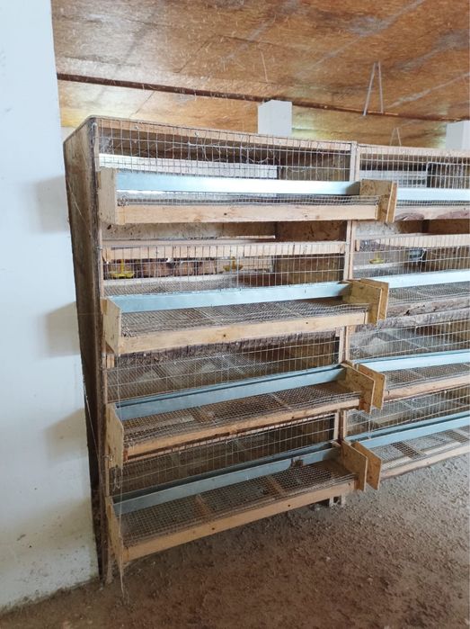 Клетка для перепелов