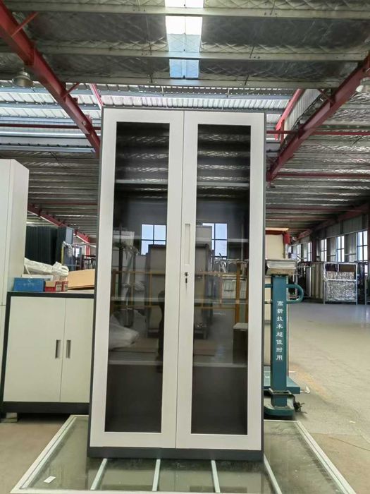 Arxiv shkafi professional | Профессиональный архивный шкаф