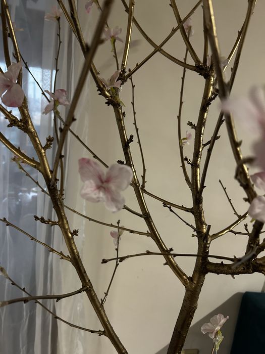 Декоративно дърво