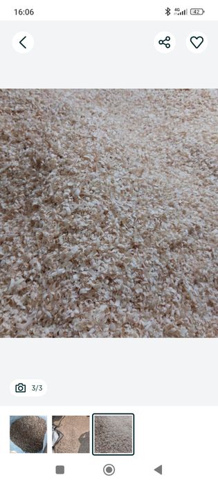 Apilkalari bor toza apilka chinor yongʻoq kotta qopi 22 mindan