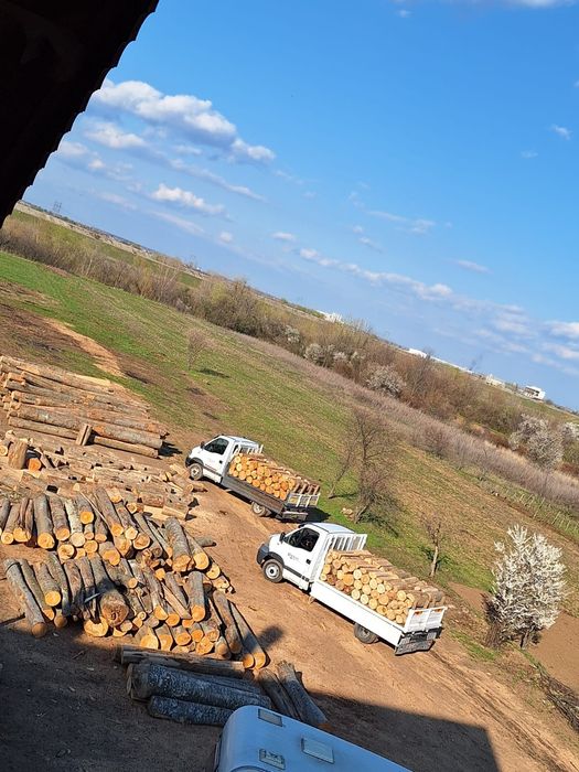 Lemne de foc ILFOV-Giurgiu-Bucuresti