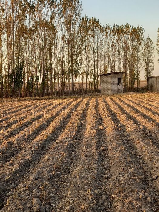 Участка сотилади. Хужжатлари бор Срочна. Таш.обл. Уртачирчиқ тум