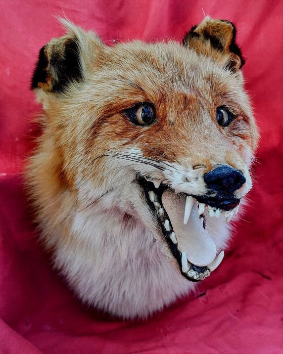 Предметы для дома