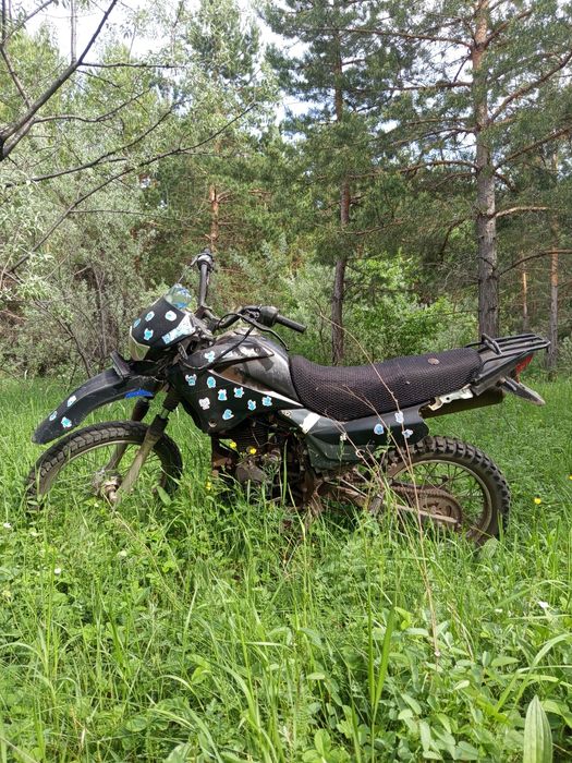 Racer pantera lait C2A