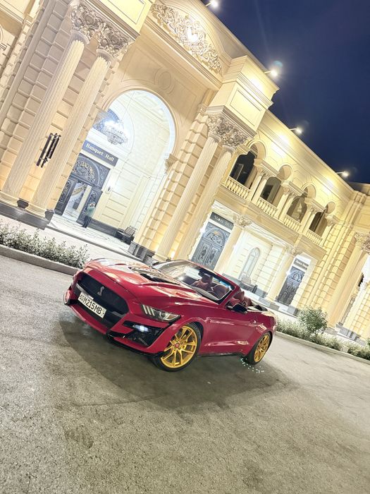 Mustang Kilip va radom toy yaxshi kunalda xizmatka tayor