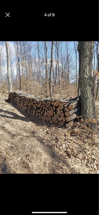 Дърва за огрев. Дъб и бук метровки