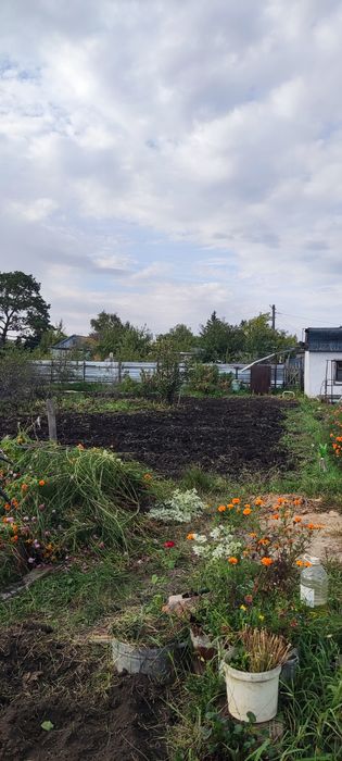 Продам дачу с баней в  СТ  Борки
