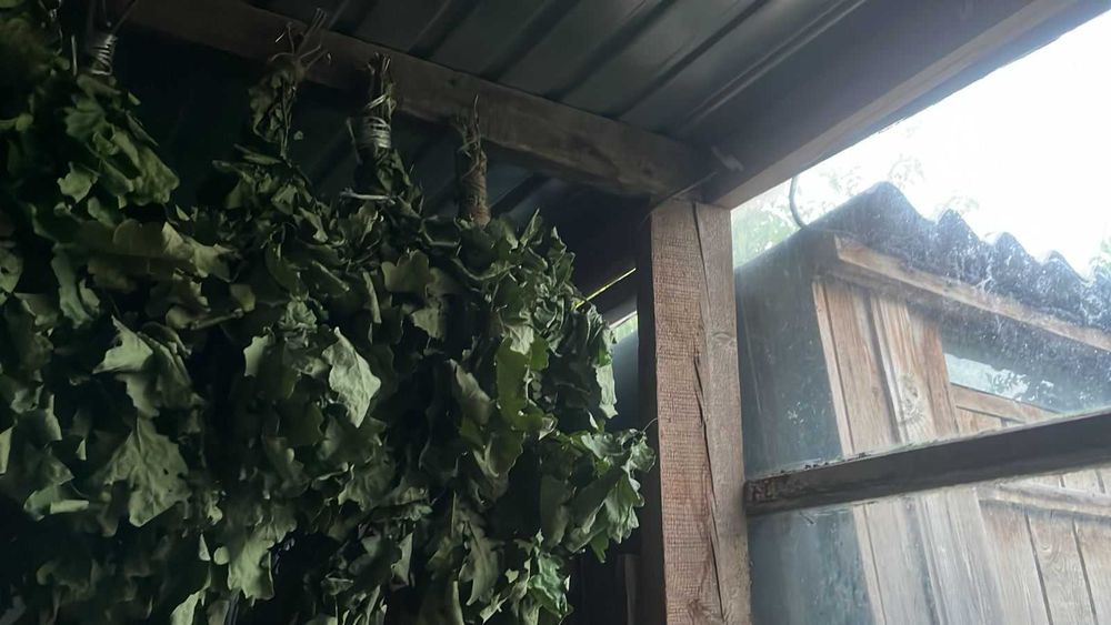 Продаю парные дубовые веники для бани