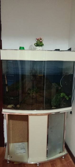 Продается аквариум с тумбой ,
 размеры
80*70*30 см.
Высота тумбы 70 см