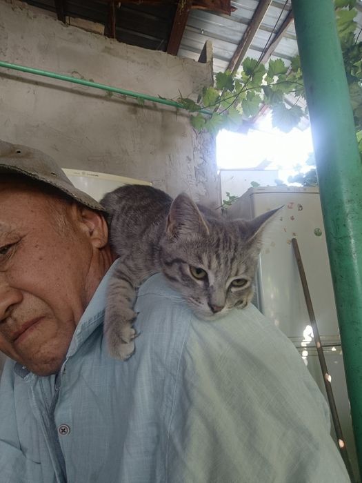 Марғау тегін берем