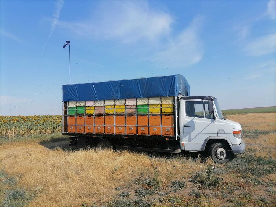 Mercedes-Benz Vario 614, indestructibil
