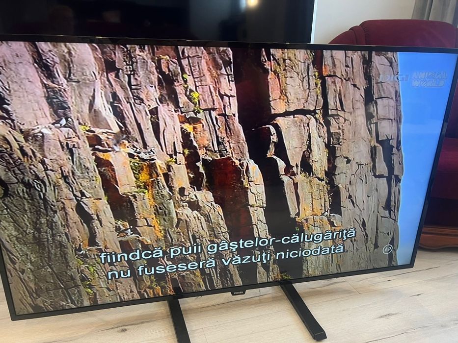 Televizor Philips  164 cm