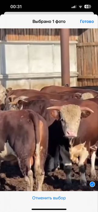 Продам ТОО Сельхоз