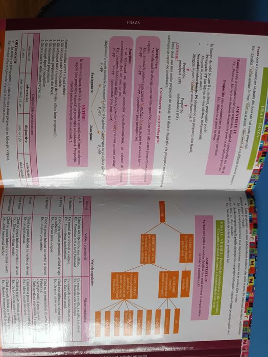 fișe teoretice examen clasa a 8 a