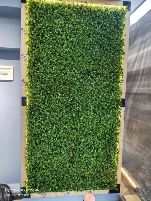 . искуственные газоны , искуственное озеленение.всех видов