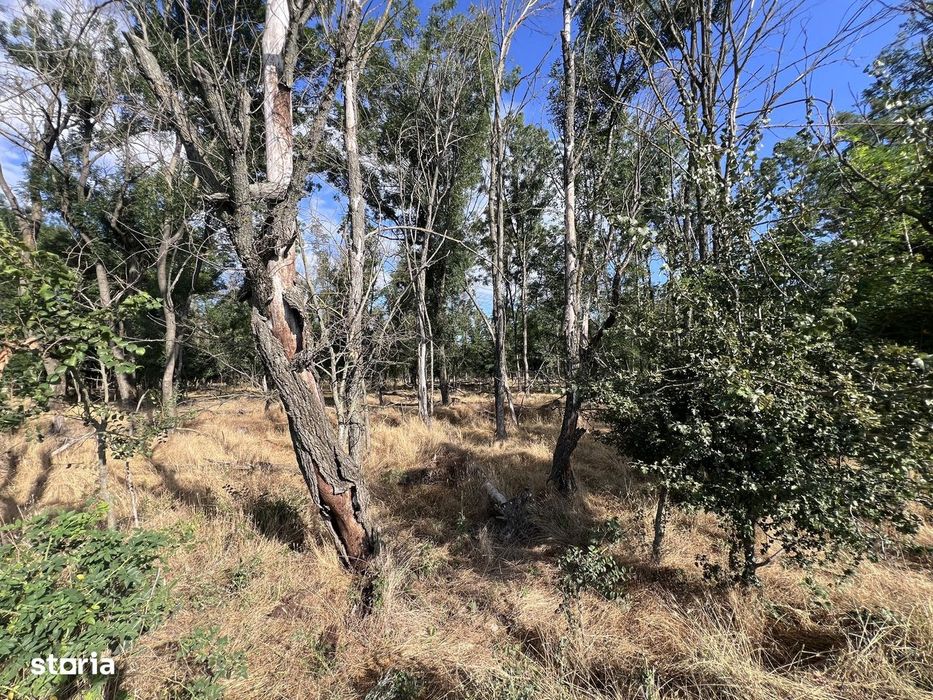 Teren intravilan, 4700 mp, dublu front stradal, la marginea Pădurii Co