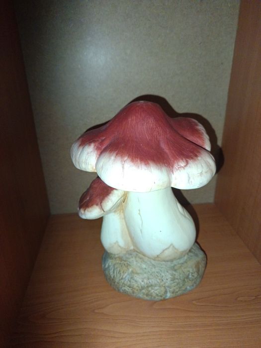 Ciuperca decorativa de gradina