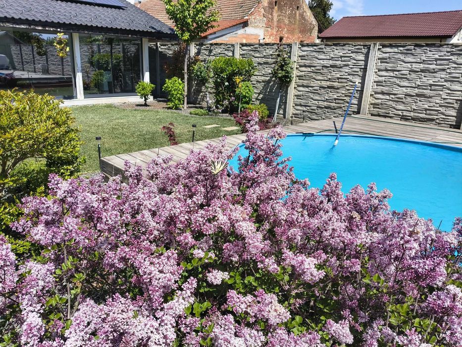 Oază de confort și eleganță în Săcălaz – Proprietate cu piscină, curte generoasă și toate facilitățile pentru o viață fără compromisuri!