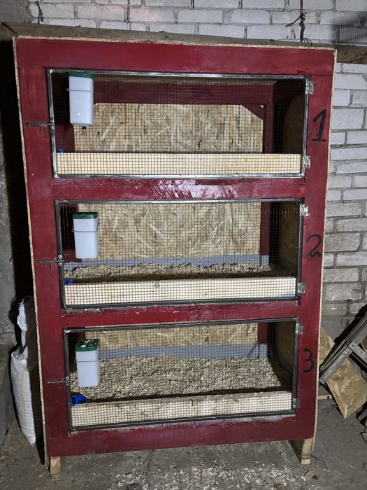 Vand cotete pentru iepuri