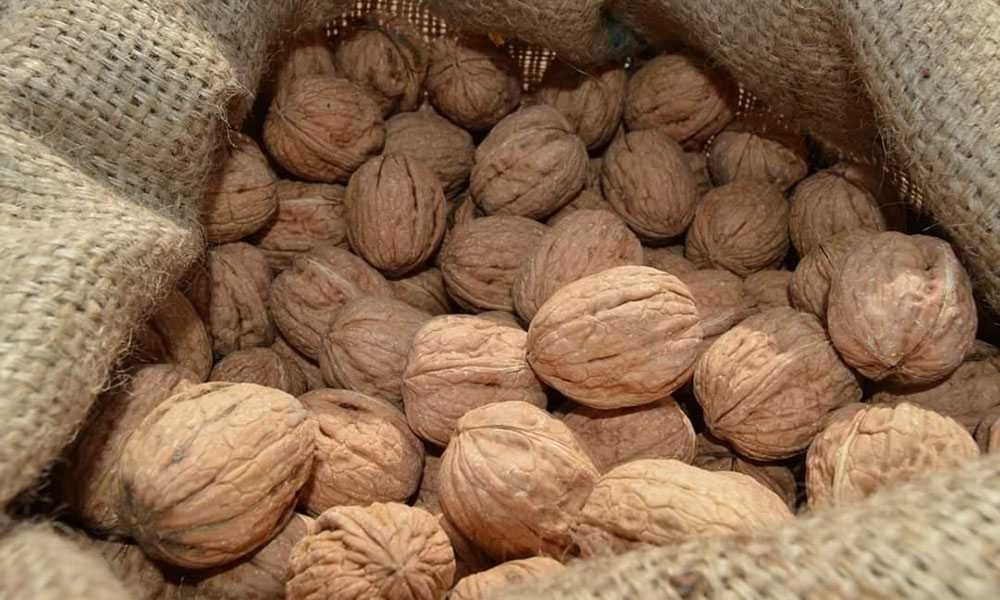 Nuci selecionati Milotai Geoagiu Sibisel Livrare RO-9 lei