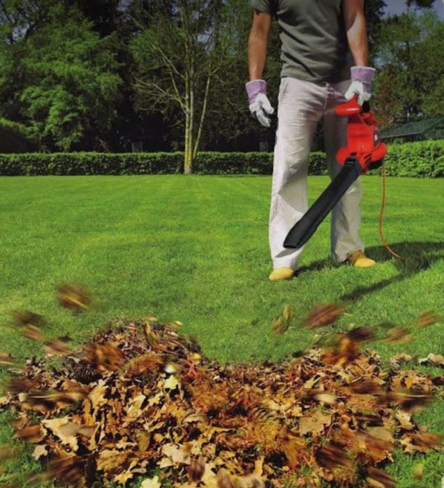 Уборка территории.Спил деревьев.Скос травы.