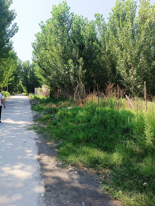 Yer sotiladi 25 sotix +1400 ta terak