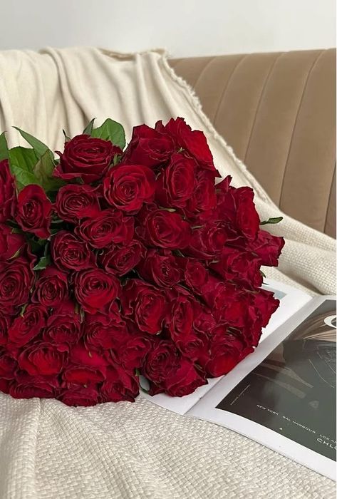 55 красных роз свежый