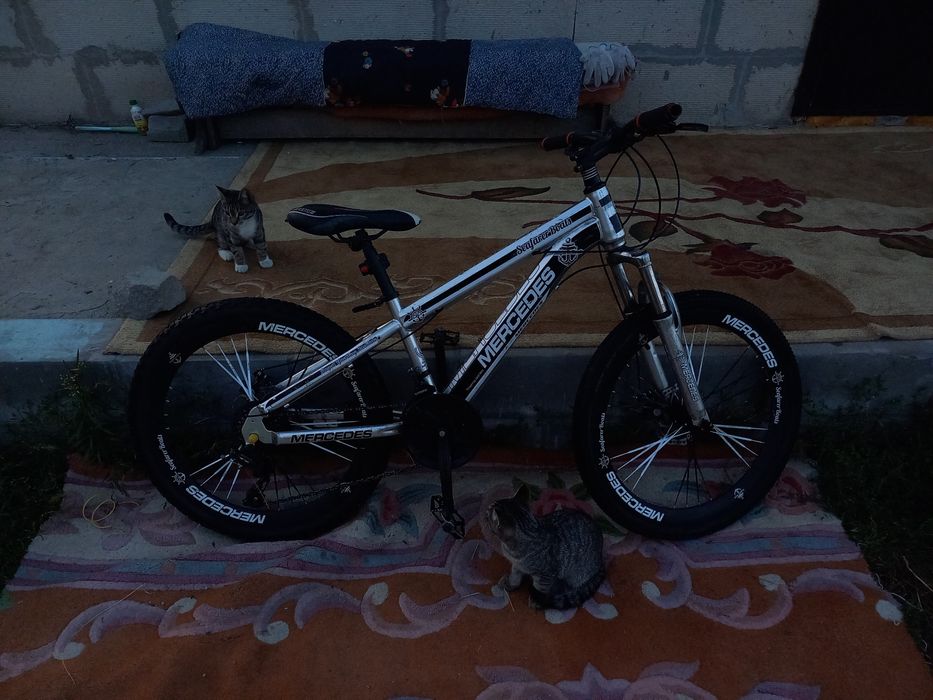 Велосипед Mercedes 24 DM