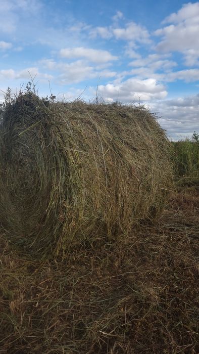 Продам сено рулонн и тюковое ...
