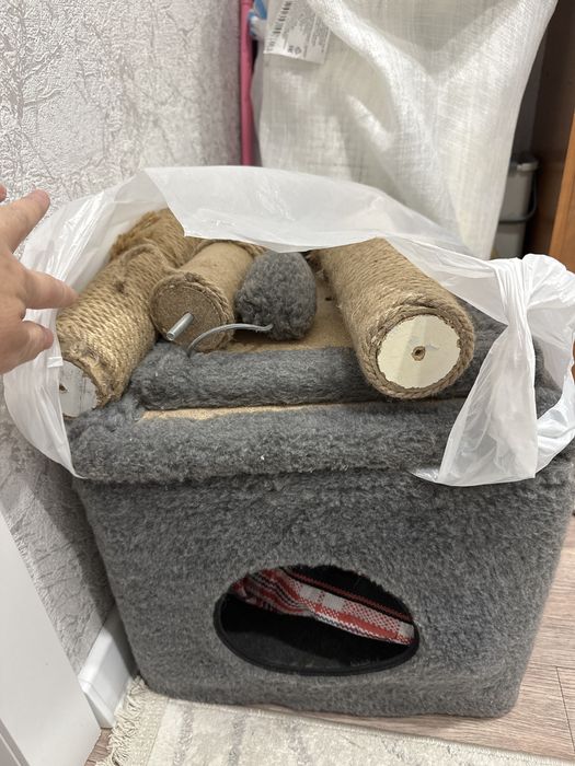 Для  котикаааааа