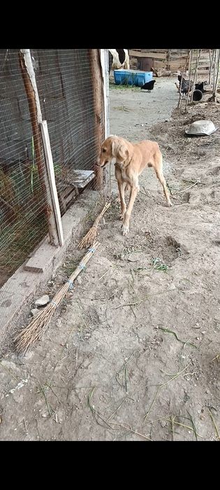 Bekorchilar bezovta qilmasin
