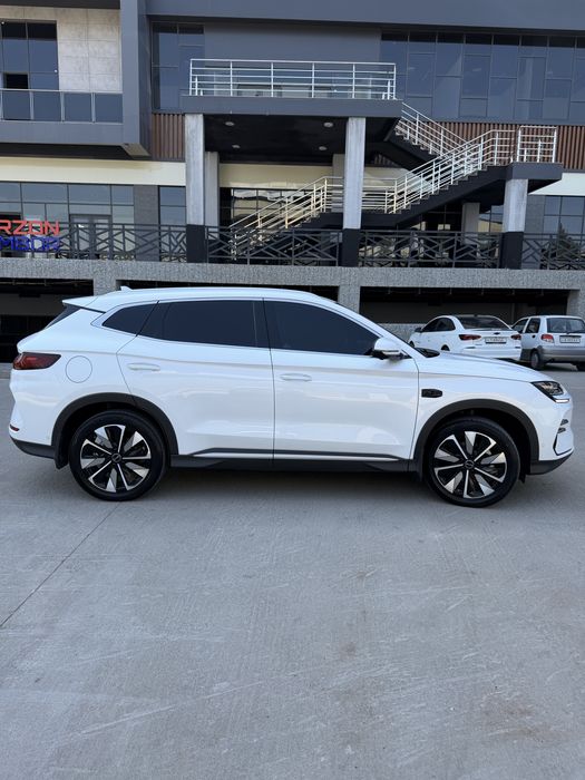 BYD Champion Smart Drive