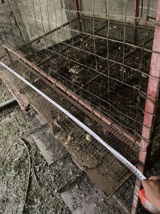 Клетка для кур несушек