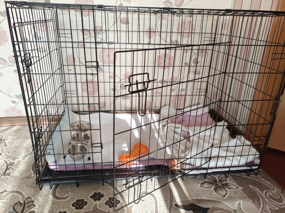 Продам добермана