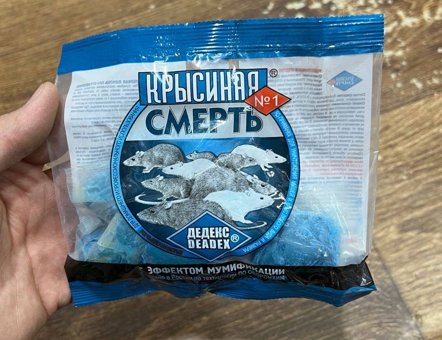 Таракан дори Америка (оригинал), клапа дори хам бор