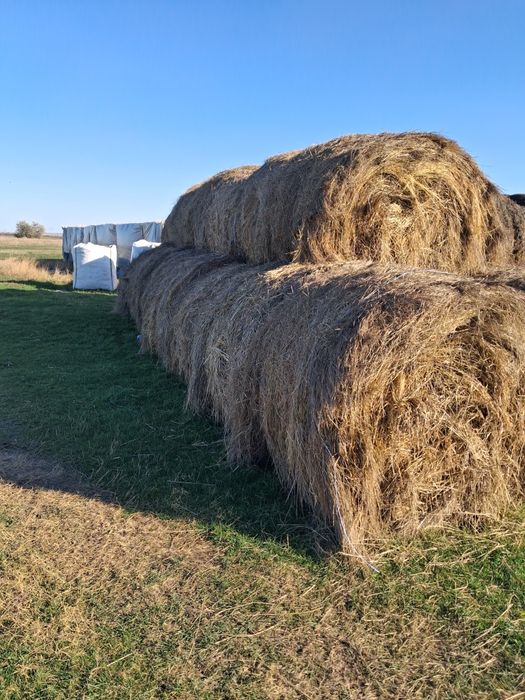 Baloti rotunzi de fan