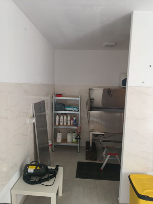 Spatiu comercial stradal